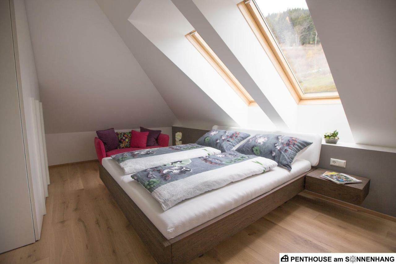Penthouse Am Sonnenhang Mit Exklusiver Ausstattung Schladming Εξωτερικό φωτογραφία